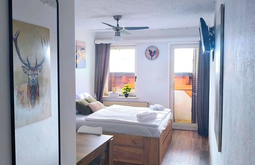 Senturska Gora Bed & Breakfast | Enjoyable 1-bedroom bed & breakfast in Kranj