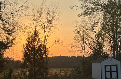 Moundville House | Entire home, cleaning fees already included. Pet friendly.