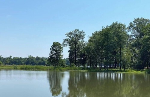 Moundville House | Entire home, cleaning fees already included. Pet friendly.