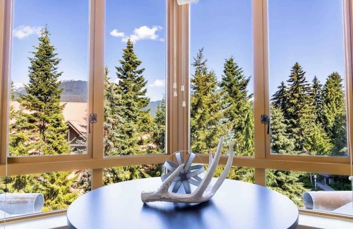 Whistler Cay Heights Apartment | Entire Studio in Whistler Village Resort