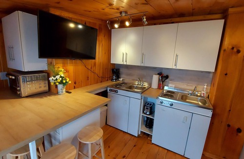 Combermere Resort | Entire Waterfront Resort - 3 Suites, 2 beaches, 2 docks, Sleeps up to 16