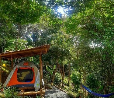 Yumbo Other | Entre Arboles Cali
