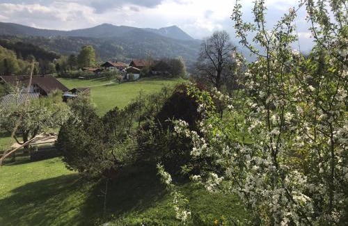 Siegsdorf Apartment | Entspannen mit Bergpanorama