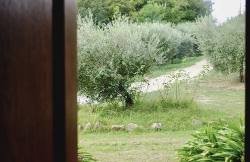 Poggio Cottage | Enveloping natural atmosphere, enjoy it with your loved ones.