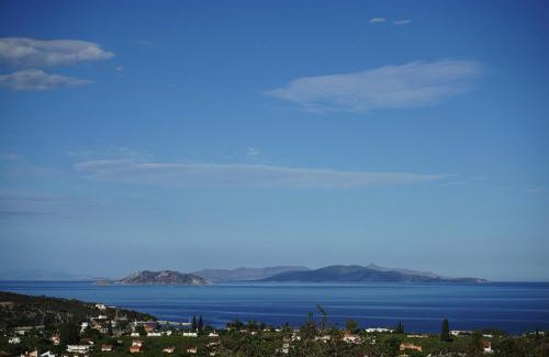 Melissopetra House | Epidaurus Olive Villa