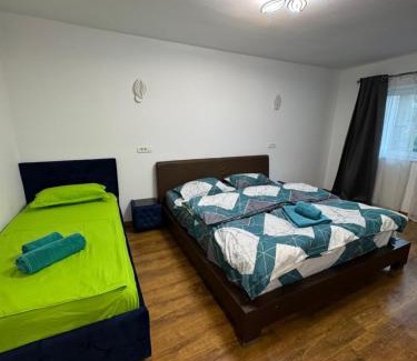 Baile Herculane Apartment | Eric's Apartament