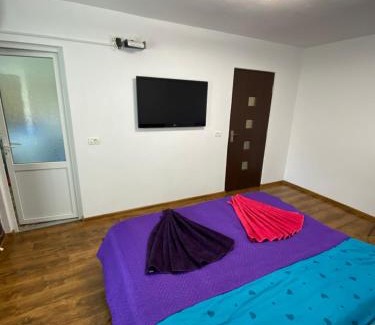 Baile Herculane Apartment | Eric's Apartament