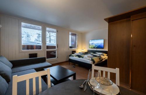 Cervinia Apartment | Erikzang - Cervinia Ski in Ski out Apartments