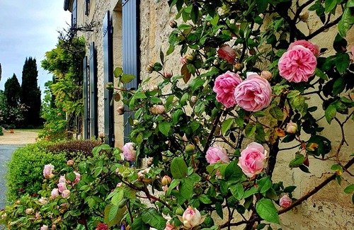 Preguillac Apartment | Escale Cosy et Bucolique à Proximité de Saintes