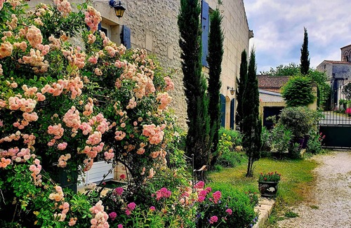 Preguillac Apartment | Escale Cosy et Bucolique à Proximité de Saintes