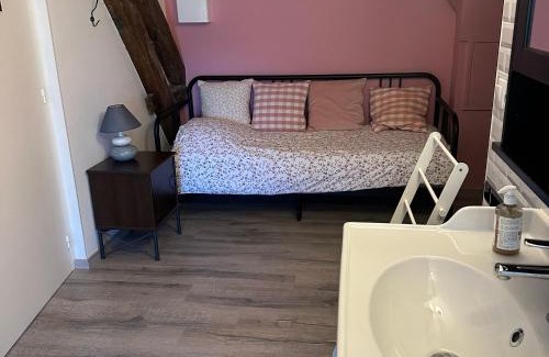 Fontguenand Bed & Breakfast | Escapade paisible près de Beauval et Valençay - Chambre avec SDB, TV, Parking - FR-1-591-661