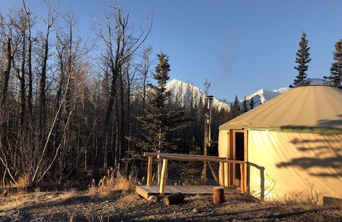 Haines Junction Cabin | Escape the ordinary with a stay in our charming yurt