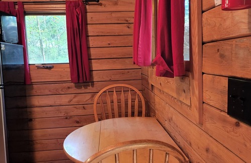 Rileyville Cabin | Escape to our cozy 2-room cabin near Shenandoah River