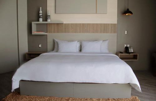Pachuca Hotel | ESDUMA HK HOTEL Pachuca
