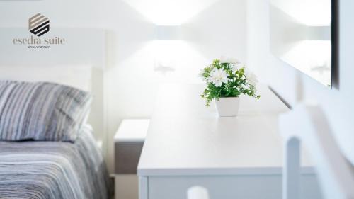 Avola House | Esedra Suite