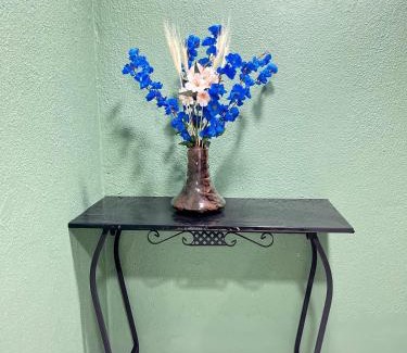 Gardenia Azul Apartment | Espaço Zen 03
