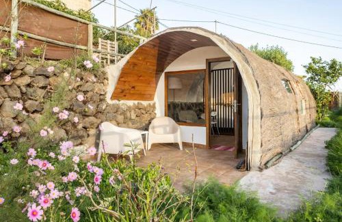 Buen Paso House | Espacio Antares