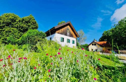 Majsperk House | Estate Ana