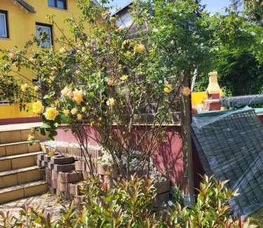 Rudolfsheim-Funfhaus Apartment | Estate Crown Sissy U3 Schönbrunn Haustiere