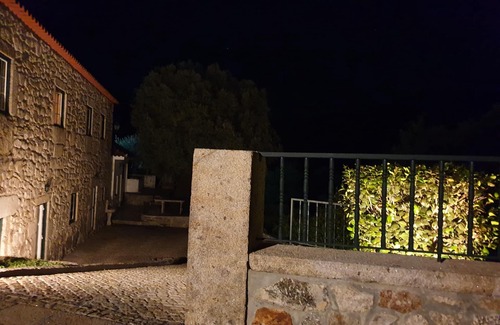 Bico Other | Estate of Vinha Velha