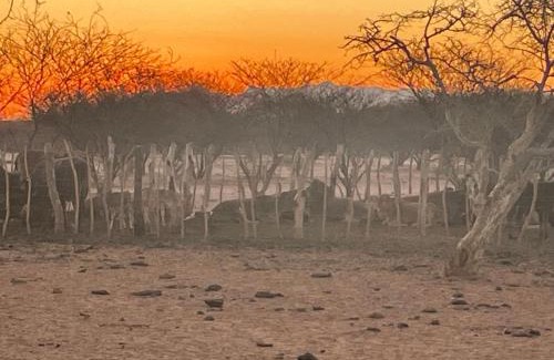 Damaraland Other | Etoko Farm Camp