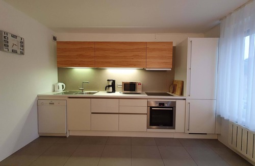 Bezigrad District Apartment | Eva Tour As/Modern 2BR apartment in center, free garage, WiFi & AC