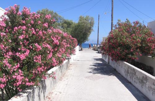 Perissa House | Evelina Family Beach Pension a breath away from the Black Beach offer plenty of accommodation type to suit every traveler's needs-Economic Rooms-Thematic Rooms-Design Rooms-Kitchenette Rooms-Studios-Small Apartments