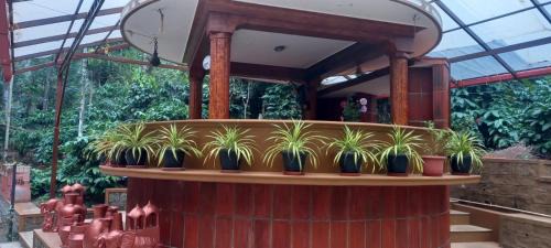Nakur Sirangala House | Evergreen Emerald