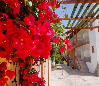 Rethymno Apartment | Evli