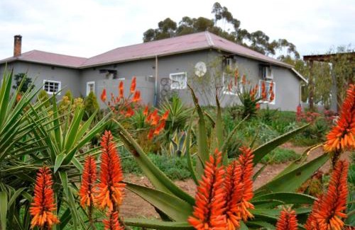 Bergrivier House | Excelsior Airstream Glamping