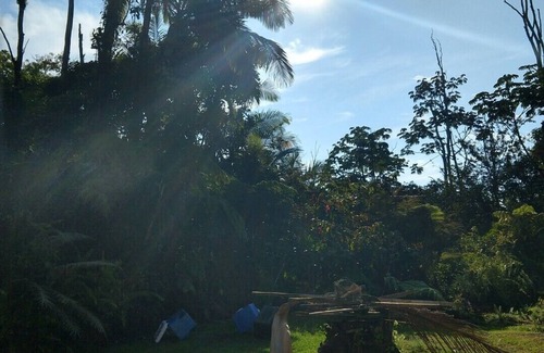 Leilani Estates House | Exceptional 10/10 Peaceful Forest Paradise