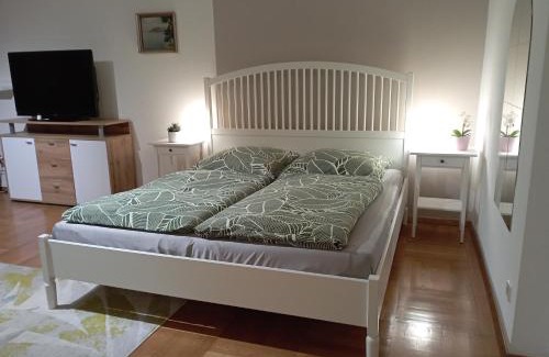 Allmannsdorf Apartment | Exklusive Lage, sehr große Wohnung mit Gartenblick - FEWO Hämmerle Rot