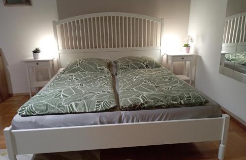 Allmannsdorf Apartment | Exklusive Lage, sehr große Wohnung mit Gartenblick - FEWO Hämmerle Rot
