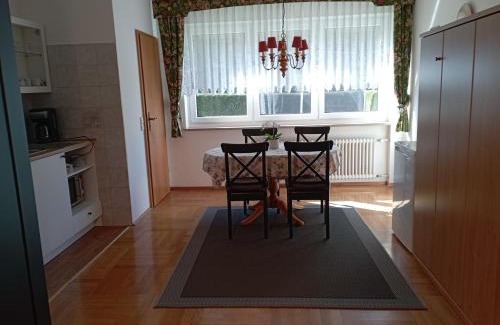Allmannsdorf Apartment | Exklusive Lage, sehr große Wohnung mit Gartenblick - FEWO Hämmerle Rot