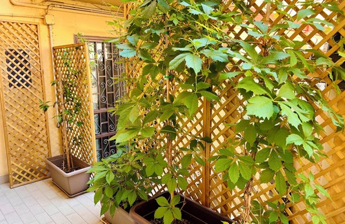 Bolognina House | Exotic Style Private Room in Modern Design House