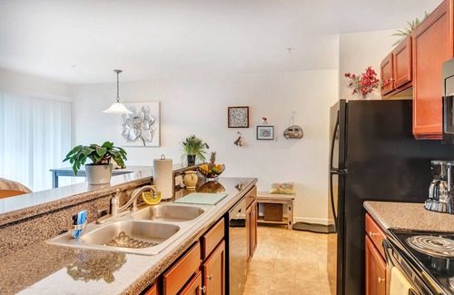 Belmont Condo | Experience CHARLOTTESVILLE with charm❣️