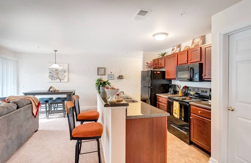 Belmont Condo | Experience CHARLOTTESVILLE with charm❣️