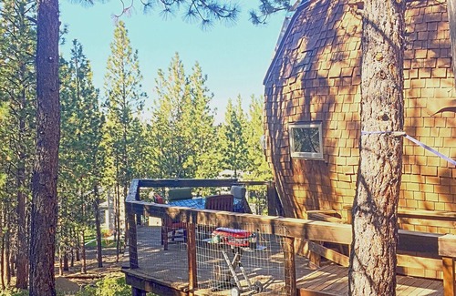 Westbrook Meadows Cabin | Experience Dome Sweet Dome for a unique getaway