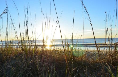 Downtown Myrtle Beach Apartment | Fabulous Ocean Front Penthouse Condo, OO Resort, 21st Fl
