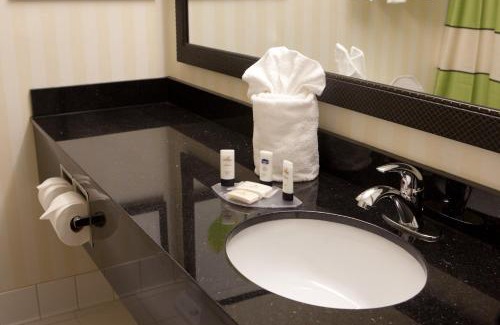 Ellendale Hotel | Fairfield Inn & Suites by Marriott Memphis East Galleria