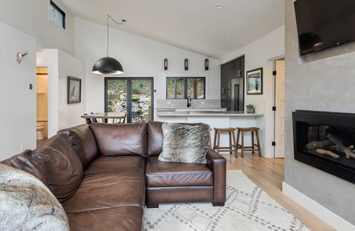 Mills River House | Falling Waters Cabin | Sleek & Stylish One Level Living