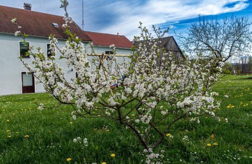 Muhlental Apartment | Familienapartment Vogtland