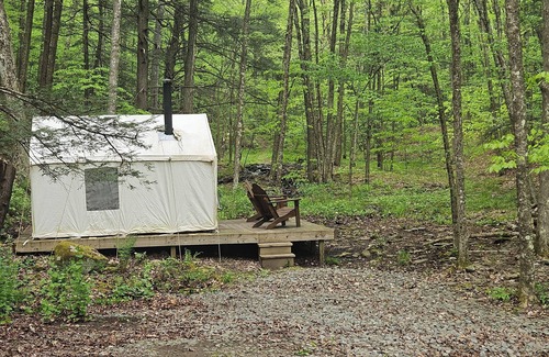 Delancey RV Rental | Family and pet friendly campsite.nCamp by a brook in a serene mountain setting