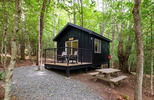 Balsam Grove Cabin | Family Bunk Glamping Cabin - Bed & Bear