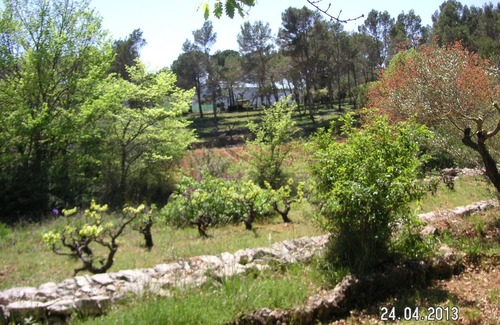 Carces House | Family country house for 6-8 people,