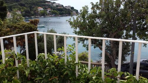 Molunat Apartment | Family Desin Apartments