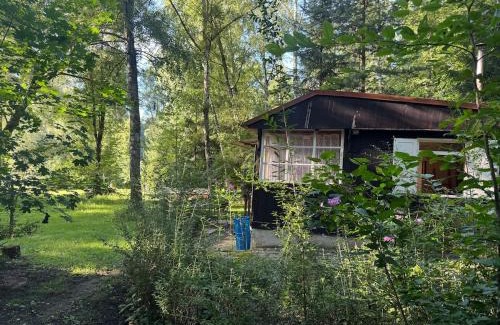 Stary Petrin Ski Chalet | Family fishing hut