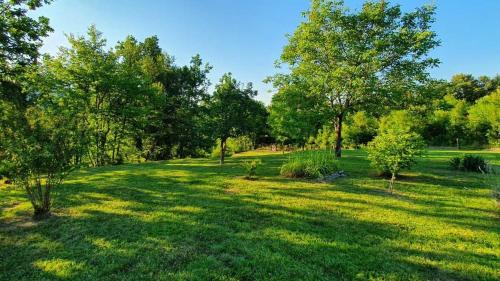 Bosiljevo House | Family friendly house with a parking space Zdihovo, Gorski kotar - 20491