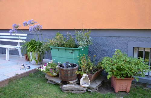Oberweibach/Thur. Wald Apartment | Family-friendly vacation apartment, 75 sqm living space for 2-6 people