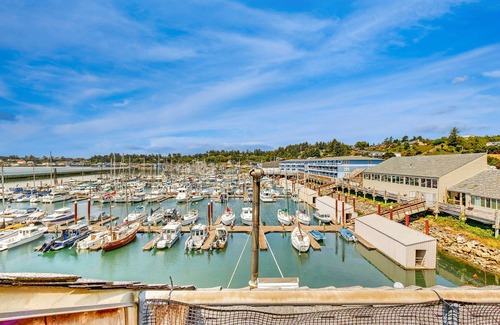 Historic Bayfront House | Family-Friendly Waterfront Studio w/High-Speed WiFi, Marina View, & Kitchenette